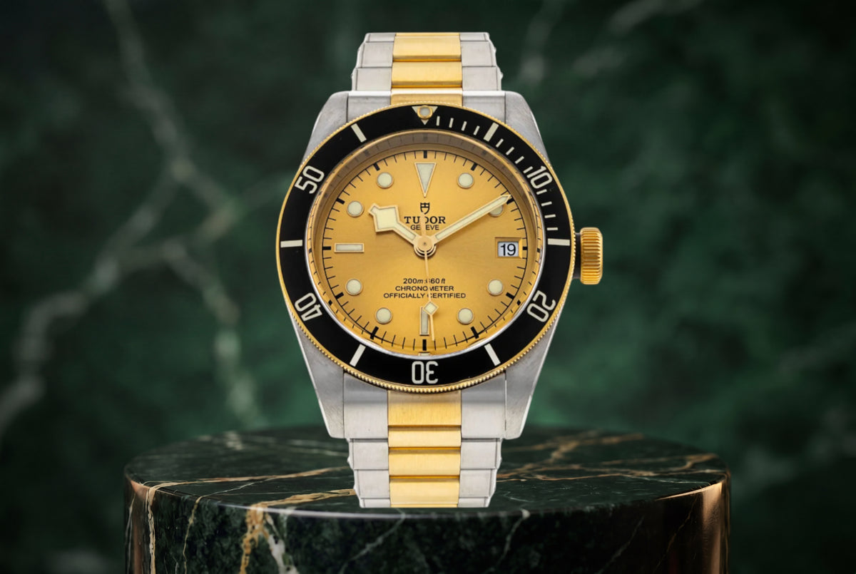 NEW SEPTEMBER 2025 Tudor Black Bay S&G Champagne Two-Tone Steel/ 18K Gold 79733N 41mm Watch With Box and Papers SKU: JEGGG0426806