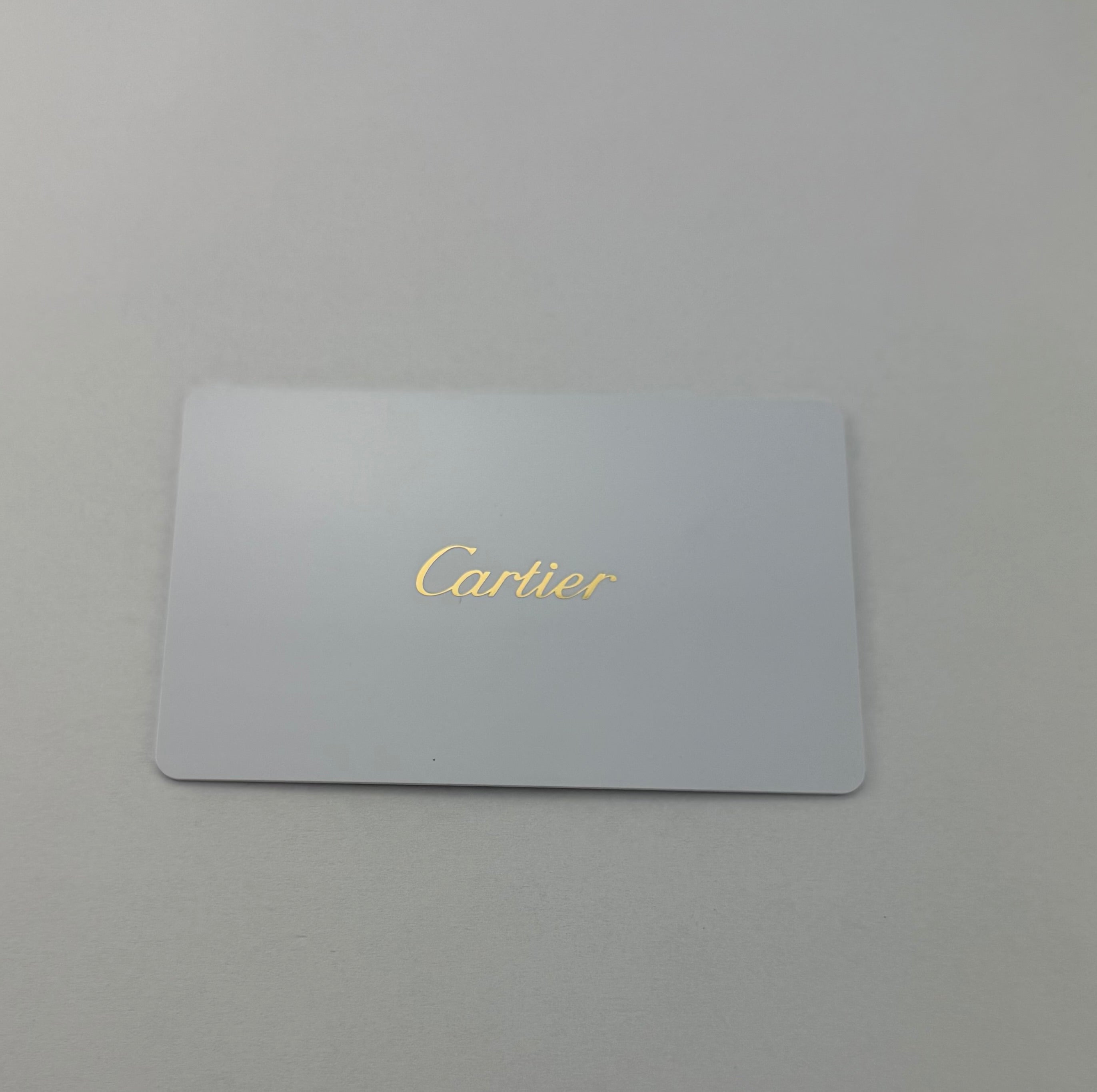NEW Cartier Santos Large Diamond Stainless Steel WSSA0018 39.8mm Watch With Papers SKU: JVKMG05261CX